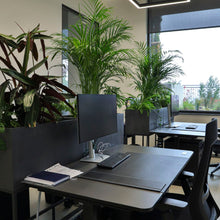 Maria Georgieva, Space Design Studio, Warna